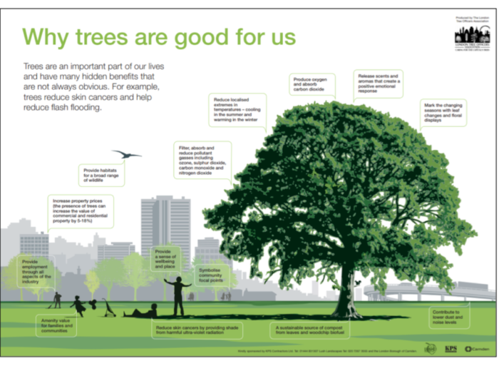 Trees Management Policies for Structures and Development Oxfordshire