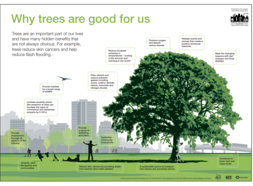 Why are trees good for us in planning developments and urban environments